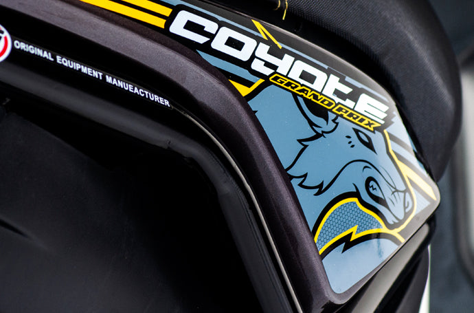 MOTOCICLETA MARCA CARABELA MOTONETA MODELO COYOTE 150CCT